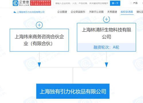 林清軒經(jīng)營(yíng)公司拓展業(yè)務(wù)版圖，新設(shè)化妝品公司并布局電子商務(wù)與計(jì)算機(jī)軟硬件