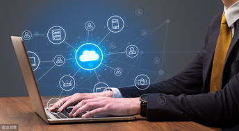 農產品電子商務發展 機遇、挑戰與經營策略探討